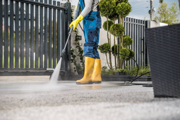 Boat and Dock Cleaning in Fobes Hill, WA